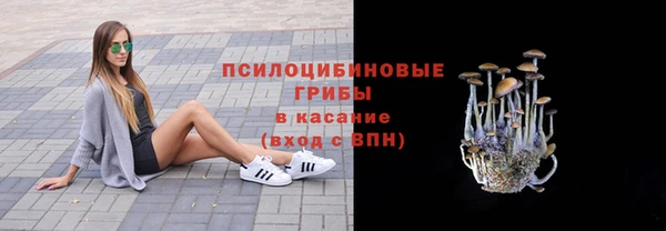 мяу мяу мука Балабаново