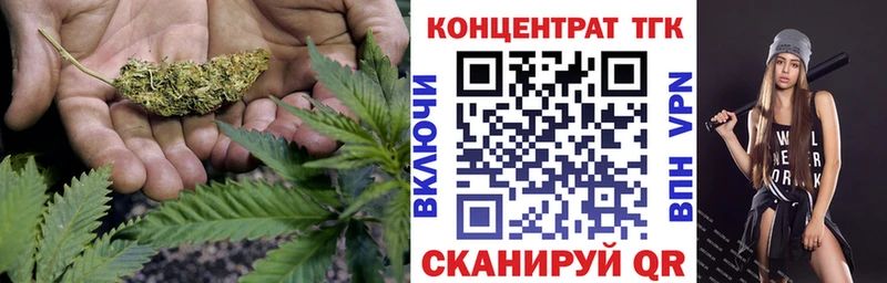Купить где Анива Дистиллят ТГК THC oil