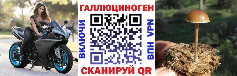 Псилоцибиновые грибы GOLDEN TEACHER  Купить где  Анива 